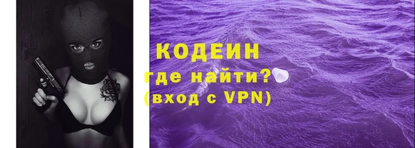 гидра Няндома