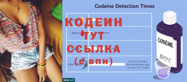 гидра Няндома