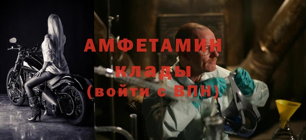 гидра Няндома