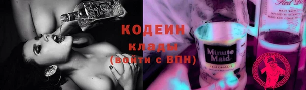 гидра Няндома