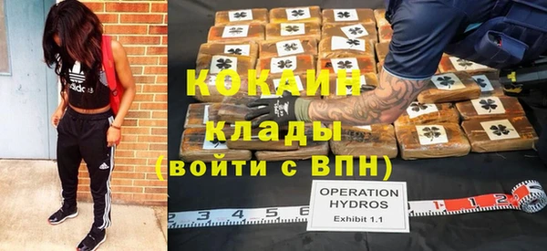 крисы Осташков