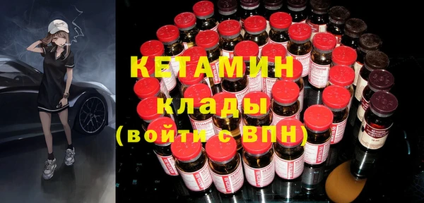 гидра Няндома