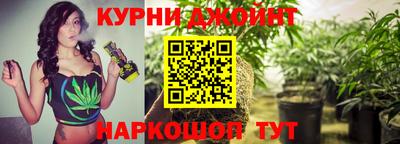 шишки Балашиха