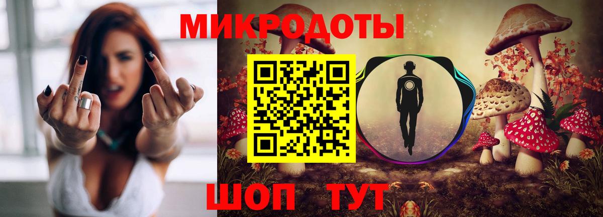 Галлюциногенные грибы Psilocybe  Вход с VPN  Белореченск 